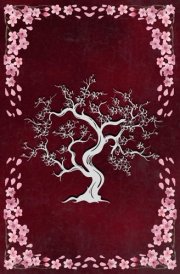 Ring of Fire - Special Edition Infinity Chronicles Book II cover image