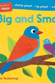 Big and Small cover image