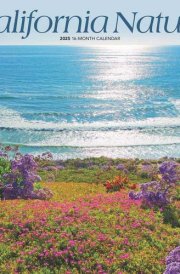 California Nature | 2025 12 x 24 Inch Monthly Square Wall Calendar | Plastic-Free | BrownTrout | USA United States of America Pacific West State cover image