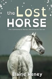 The Lost Horse - Dyslexia Friendly cover image