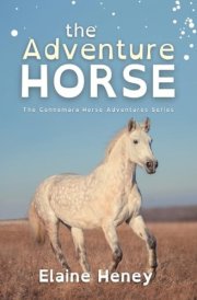 The Adventure Horse - Dyslexia Friendly cover image