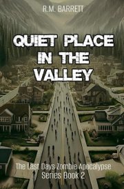Quiet Place in the Valley: The Last days Zombie Apocalypse Series Book 2 cover image