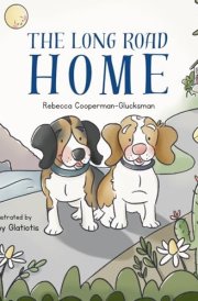 The Long Road Home cover image