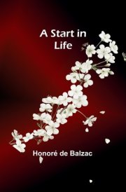 A Start in Life cover image