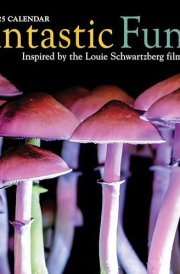 Fantastic Fungi Wall Calendar 2025: Inspired by the Louie Schwartzberg Film cover image