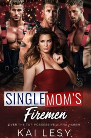 Single Mom's Firemen: A Contemporary Reverse Harem Romance (Lucky Lady Reverse Harems) cover image