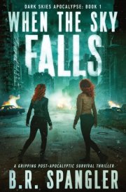 When the Sky Falls A Gripping Post-apocalyptic Survival Thriller cover image