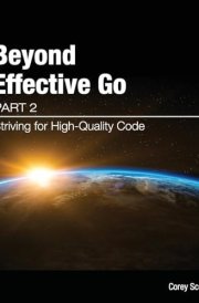 Beyond Effective Go Part 2 - Striving for High-Quality Code cover image