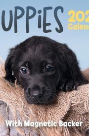 Puppies Mini Box Calendar 2025 cover image