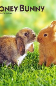 Honey Bunny 2025 7 X 14 Inch Monthly Mini Wall Calendar Browntrout Domestic Small Cute Animals cover image