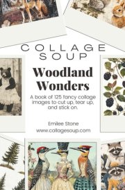 Collage Soup - Woodland Wonders: A book of 125 fancy collage images to cut up, tear up, and stick on cover image