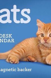 Cats Mini Box Calendar 2025 cover image