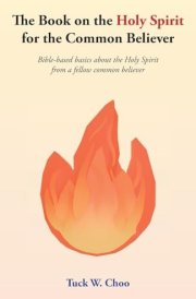 The Book on the Holy Spirit for the Common Believer Bible-based Basics about the Holy Spirit from a Fellow Common Believer cover image