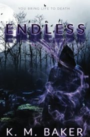 Endless cover image