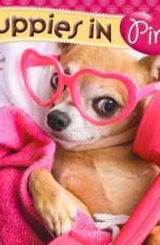 Puppies in Pink | 2025 12 x 24 Inch Monthly Square Wall Calendar | Plastic-Free | BrownTrout | Animals Fun Humor Pets cover image