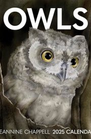 Owls Jeannine Chappell 2025 Wall Calendar cover image