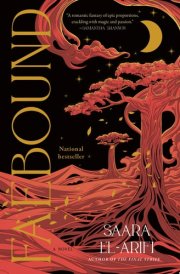 Faebound A Novel cover image