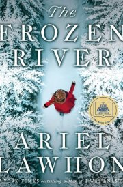 The Frozen River: A Novel cover image