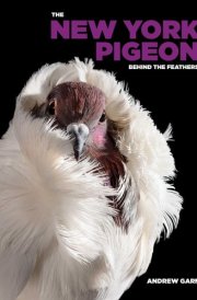 The New York Pigeon cover image