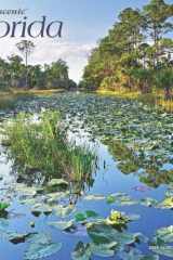 Florida Wild & Scenic | 2025 12 x 24 Inch Monthly Square Wall Calendar | Plastic-Free | BrownTrout | USA United States of America Southeast State Nature cover image