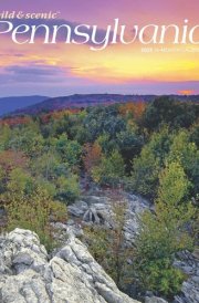 Pennsylvania Wild & Scenic | 2025 12 x 24 Inch Monthly Square Wall Calendar | Plastic-Free | BrownTrout | USA United States of America Northeast State Nature cover image
