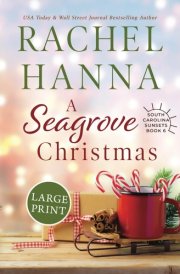 A Seagrove Christmas: Large Print (South Carolina Sunsets) cover image