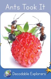 Ants Took It Skills Set 2 cover image