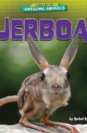 Jerboa cover image