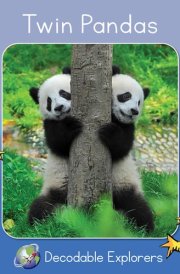 Twin Pandas Skills Set 1 cover image