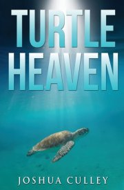 Turtle Heaven cover image