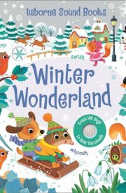 Winter Wonderland Sound Book cover image