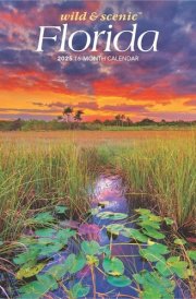 Florida Wild & Scenic | 2025 7 x 14 Inch Monthly Mini Wall Calendar | BrownTrout | USA United States of America Southeast State Nature cover image