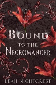 Bound to the Necromancer (Born of Death and Magic) cover image