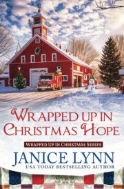 Wrapped Up in Christmas Hope cover image
