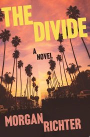 The Divide A novel cover image