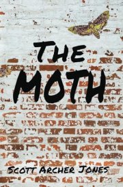 The Moth cover image