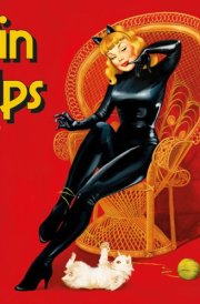 Pin Ups Square Mini Calendar 2025 cover image