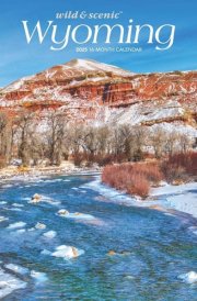Wyoming Wild & Scenic | 2025 12 x 24 Inch Monthly Square Wall Calendar | Plastic-Free | BrownTrout | USA United States of America Midwest State Nature cover image