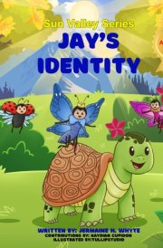 Sun Valley Series: Jay’s Identity cover image