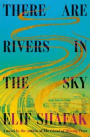 There Are Rivers in the Sky A novel cover image