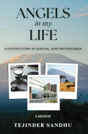 Angels in my Life cover image