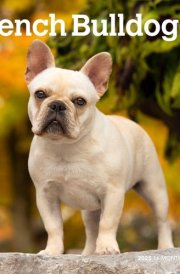 French Bulldogs | 2025 7 x 14 Inch Monthly Mini Wall Calendar | Plastic-Free | BrownTrout | Animals Dog Breeds cover image