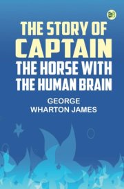 The Story of Captain the Horse with the Human Brain cover image
