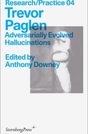Trevor Paglen Adversarially Evolved Hallucinations cover image