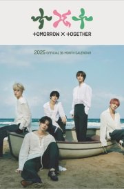 Txt Official 2025 12 X 24 Inch Monthly Square Wall Calendar Plastic-Free cover image