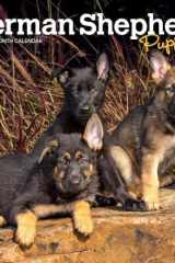 German Shepherd Puppies | 2025 7 x 14 Inch Monthly Mini Wall Calendar | BrownTrout | Animals Dog Breeds Puppy cover image