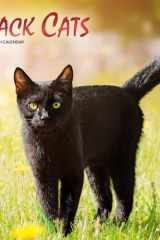 Black Cats 2025 12 X 24 Inch Monthly Square Wall Calendar Foil Stamped Cover Plastic-Free cover image