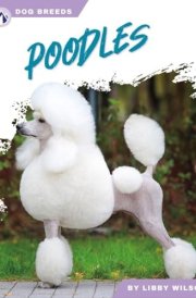 Poodles cover image