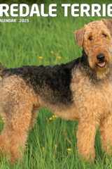 Willow Creek Press Airedale Terriers Monthly 2025 Wall Calendar (12" x 12") cover image