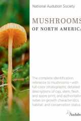 National Audubon Society Mushrooms of North America cover image
